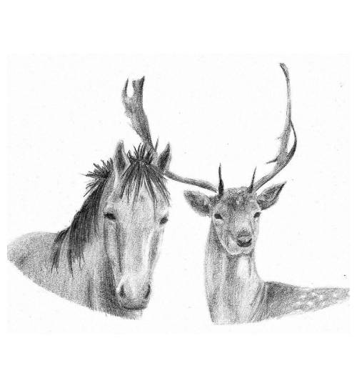 Logo-Partner-Projekte-Sanctuaire-Oeillons