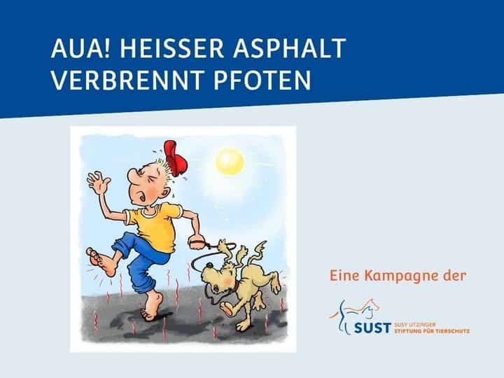 Infopic: Heisser Asphalt