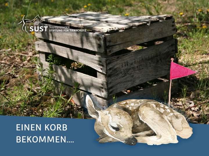 Holzkiste auf Wiese mit Markierung.
