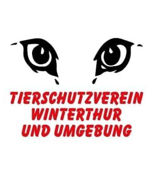 Logo-CH-Partner-Projekte-TSV-Winterthur