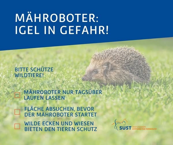 Infopic Igel: Gefahr Mähroboter