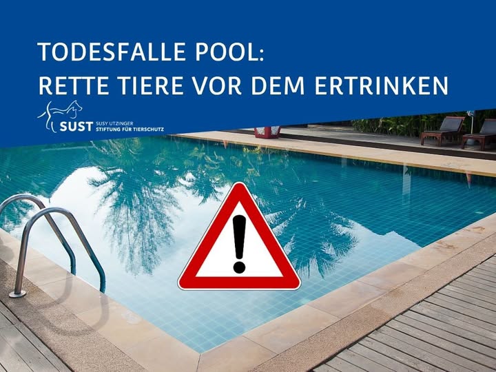 Infopic: Todesfalle Pool