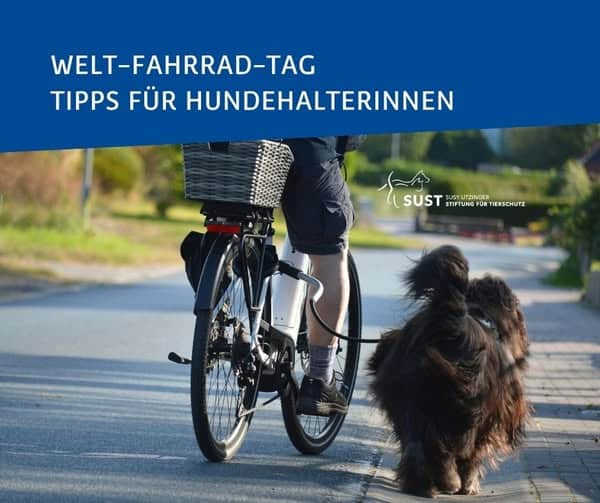 Fahradfahrer mit Hund