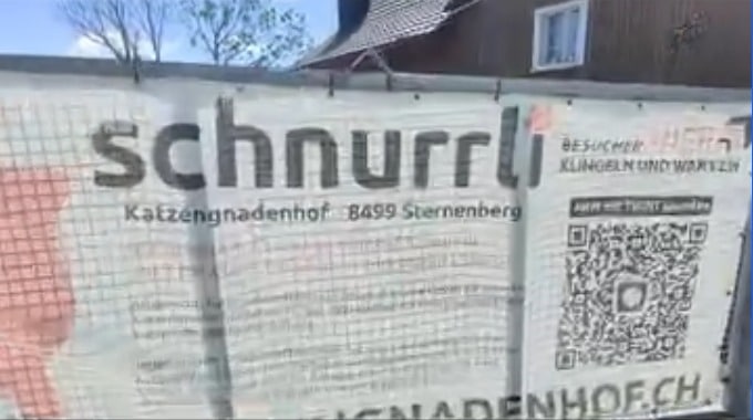 Katzengnadenhof Schnurrli