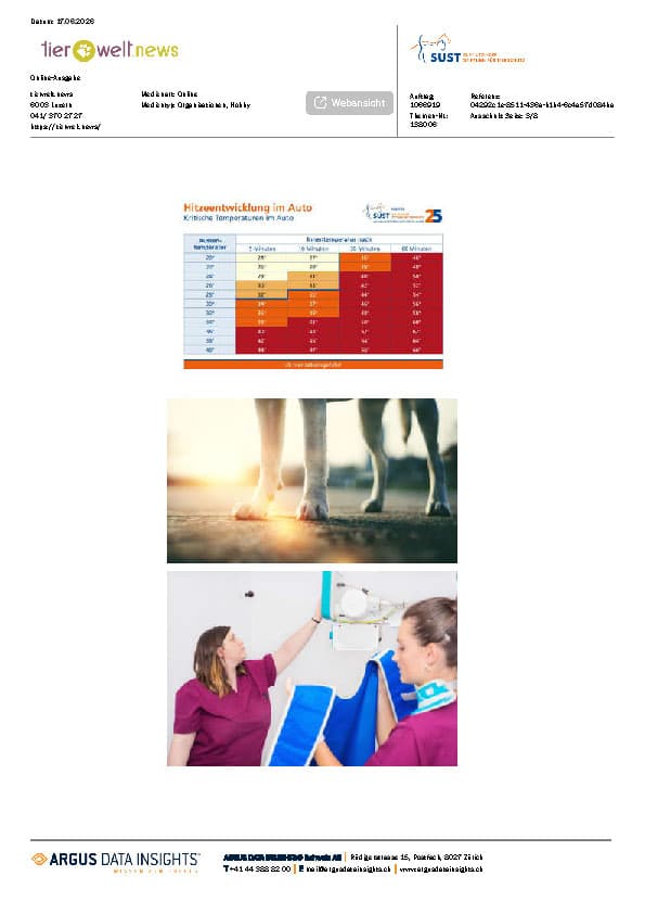Vorschaubild zum Artikel