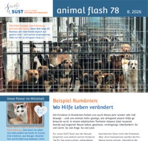 SUST animal flash #78