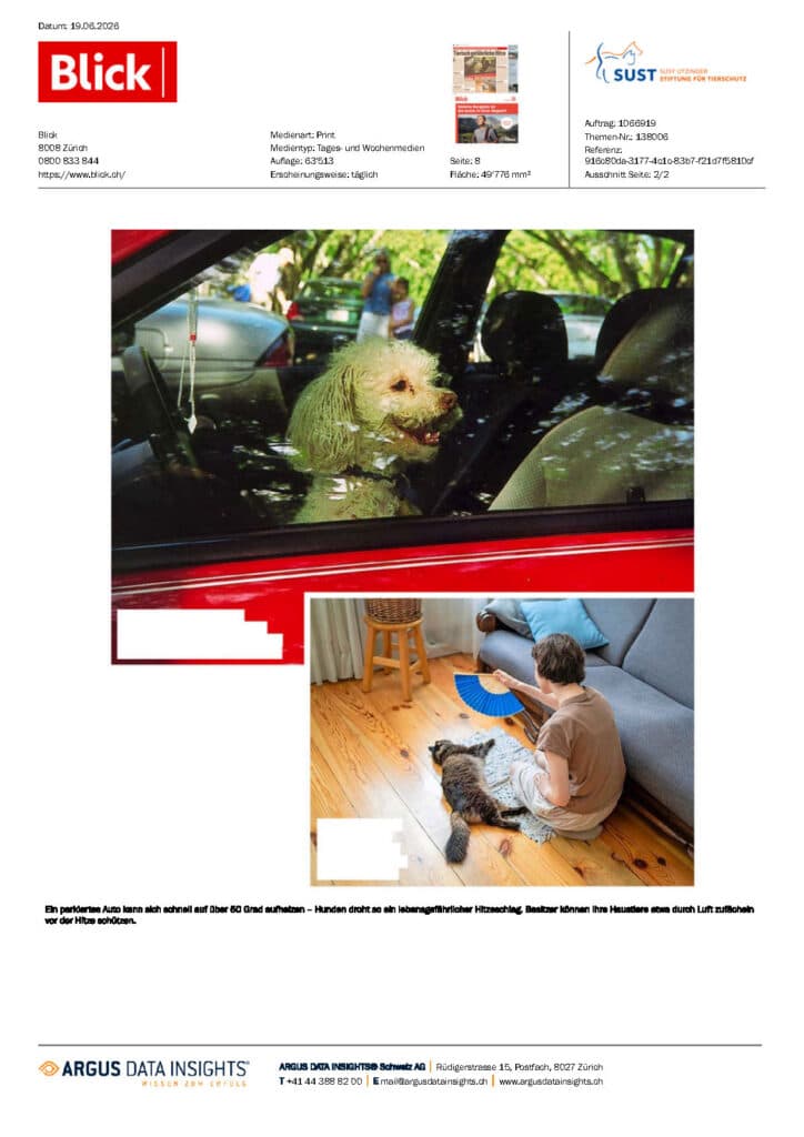 Vorschaubild zum Artikel