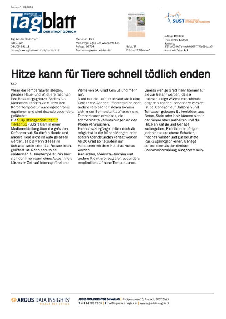 Vorschaubild zum Artikel