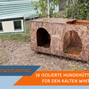Isolierte Hundehütten fürs SUST-Tierheim Galati, Rumänien
