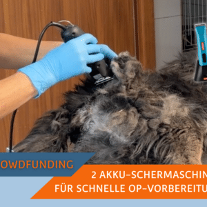 Akku-Schermaschinen für das SUST Orphan Animal Hospital (OAH) Hurghada, Ägypten