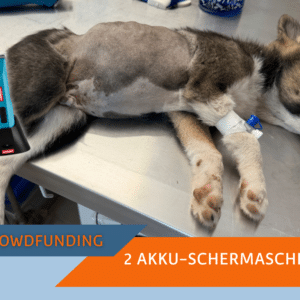 Akku-Schermaschine für das SUST Orphan Animal Hospital (OAH) Galati, Rumänien