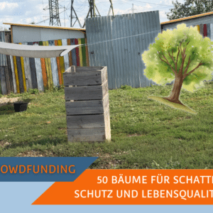 50 neue Bäume für das SUST-Tierheim Galati, Rumänien
