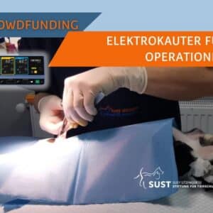 Portabler Elektrokauter für das SUST Orphan Animal Hospital (OAH) Moreni, Rumänien