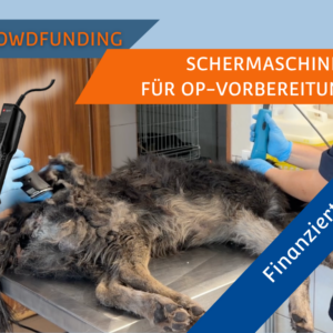 Visual finanziertes Crowdfunding Schermaschinen