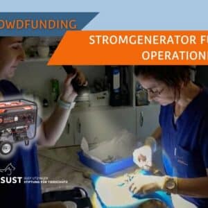 Stromgenerator für das SUST Orphan Animal Hospital (OAH) Moreni, Rumänien