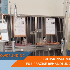 Infusionspumpen für das SUST Orphan Animal Hospital (OAH) Hurghada, Ägypten