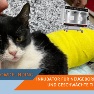 Inkubator für Intensivbehandlungen im SUST Orphan Animal Hospital (OAH) Hurghada, Ägypten