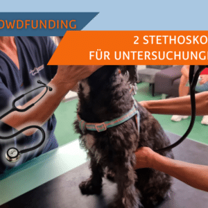 Littmann Stethoskope für das SUST Orphan Animal Hospital (OAH) Hurghada, Ägypten
