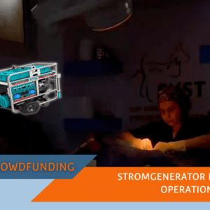 Stromgenerator für das SUST Orphan Animal Hospital (OAH) Hurghada, Ägypten