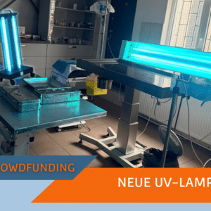 UV-Lampe für das SUST Orphan Animal Hospital (OAH) Galati, Rumänien