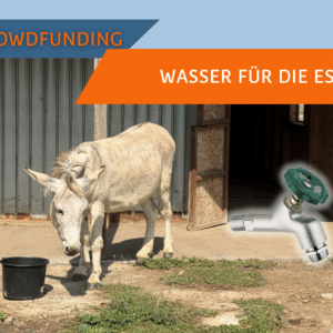 Ein Wasseranschluss beim Eselstall im SUST-Tierheim Galati, Rumänien