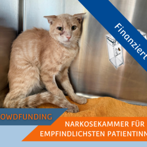 Visual finanziertes Crowdfunding Narkosekammer