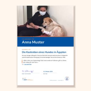 Muster der Urkunde «Geschenk-Urkunde für Kastrationen ägyptischer Hunde» der Susy Utzinger Stiftung für Tierschutz