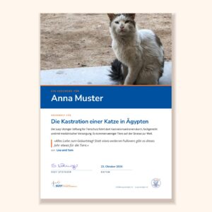 Muster der Urkunde «Geschenk-Urkunde für Kastrationen ägyptischer Katzen» der Susy Utzinger Stiftung für Tierschutz