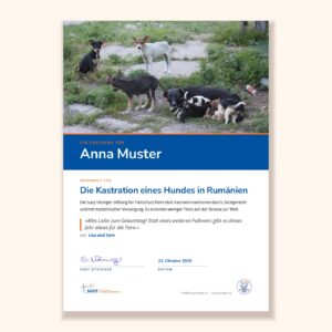 Muster der Urkunde «Geschenk-Urkunde für Kastrationen rumänischer Hunde» der Susy Utzinger Stiftung für Tierschutz