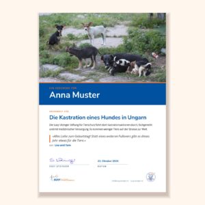 Muster der Urkunde «Geschenk-Urkunde für Kastrationen ungarischer Hunde» der Susy Utzinger Stiftung für Tierschutz