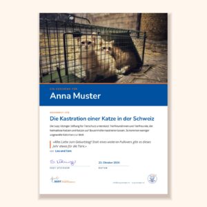 Muster der Urkunde «Geschenk-Urkunde für die Kastration Schweizer Katzen» der Susy Utzinger Stiftung für Tierschutz
