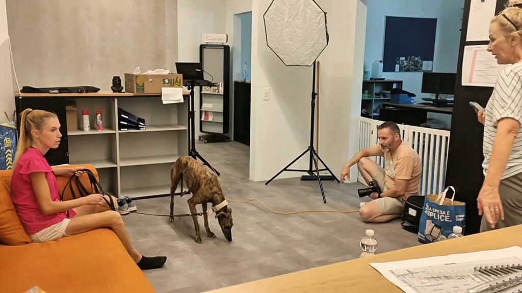 Bild zum Beitrag «Meret Schneider zeigt Gesicht. Für Tiere. Für Tierschutz.»